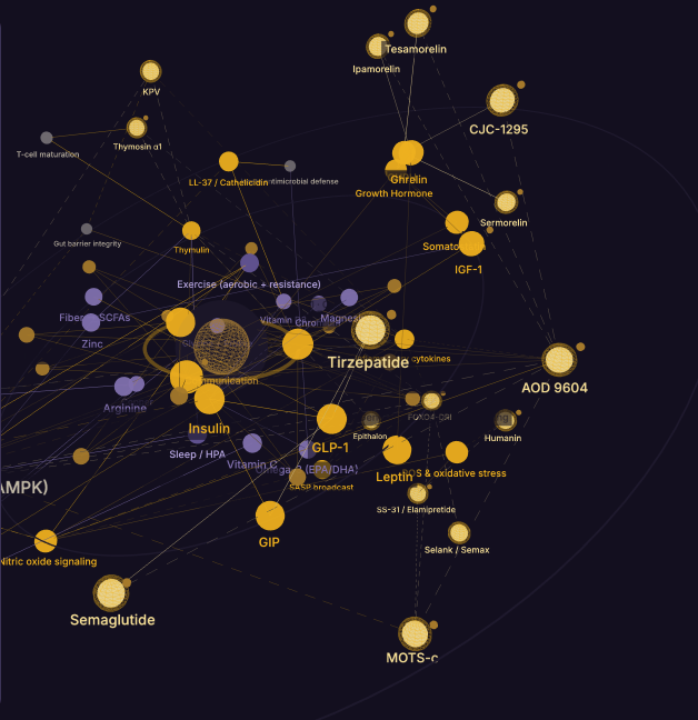 A wide view of the Peptide Genome showing hubs such as Tirzepatide, Insulin, GLP-1, Semaglutide, and the growth hormone axis connected by signaling lines